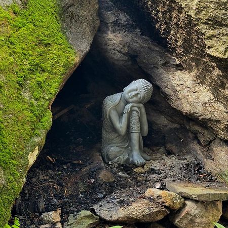 Sentiero Verde B&B Formazza Zewnętrze zdjęcie